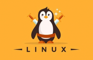 输错命令被Linux终端嘲笑了……