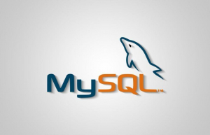 Linux系统如何安装MySQL