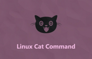 Linux系统命令行一只五颜六色的「猫」Ccat
