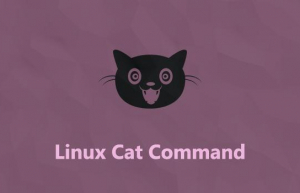 Linux系统命令行一只五颜六色的「猫」Ccat