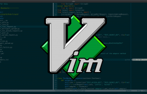 Linux系统使用Vim打开文件