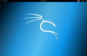Kali Linux 必须知道的事情