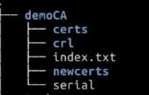 Ubuntu安装OpenSSL