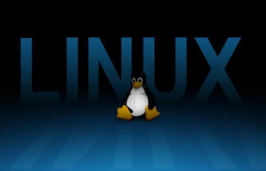 Linux的 exFAT 文件系统更快删除大文件