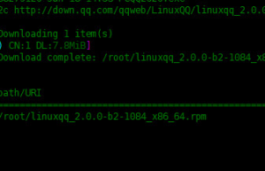 Linux中如何使用Aria2下载文件