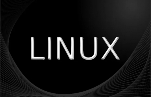Linux 系统的备份与恢复