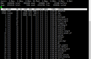 Linux系统中top命令详解