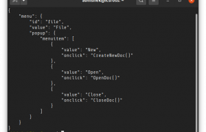 Linux 终端上打印 JSON 文件