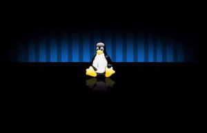 Linux系统通过命令行更改IP具体方法