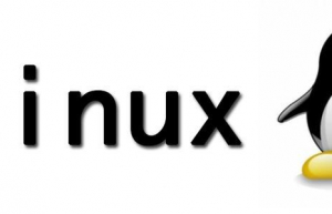 只需要一步就能在Linux系统中修改ip