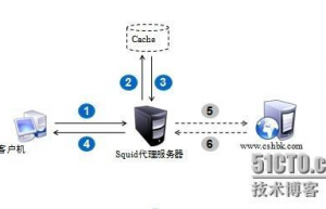 Linux系统搭建Squid代理服务器详细教程