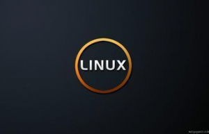 Linux系统script使用教程