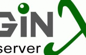 Linux系统安装nginx详细步骤