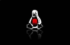 不用在Linux系统中轻易使用这10个命令