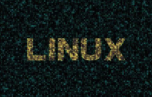 Linux系统查看python版本信息的详细教程