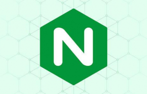 Linux系统启动nginx详细教程