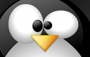 Linux系统复制文件详细教程