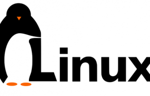 Linux下调整sudo命令会话时间