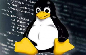 Linux系统删除网卡具体解决方案