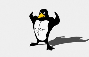 Linux中非常炫酷的终端工具