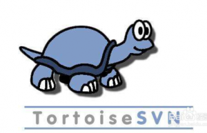 Linux系统搭建svn详细步骤
