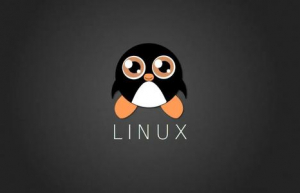 Linux下常用的终端应用程序