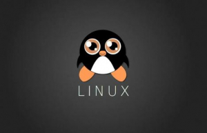 Linux系统nc命令的安装和使用方法