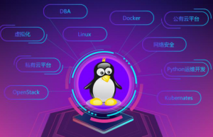 Linux系统使用 nmcli 来创建/添加网桥