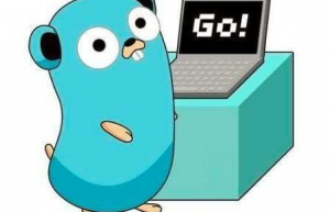Linux系统安装Go语言环境详细步骤