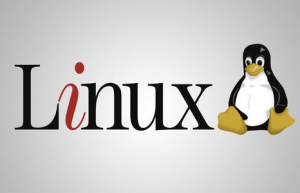 Linux comm命令使用实例