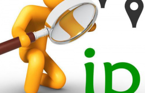Linux 终端中如何查看自己的公有 IP