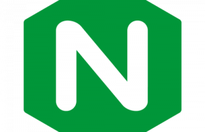 Linux系统查看nginx是否启动命令