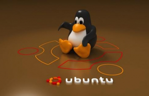 Linux磁盘格式化具体实例