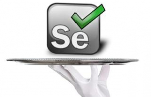 Linux系统安装Selenium