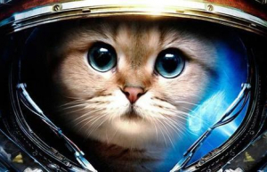 Linux系统查看线程数命令