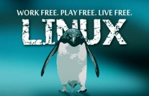 Linux系统mount命令详解