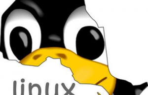 Linux系统read命令详解