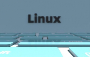 Linux系统磁盘格式化具体方法