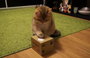 Linux系统查看文件信息命令