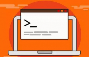 Linux系统开机进入命令行