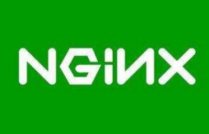 Linux系统查看 nginx 安装目录命令