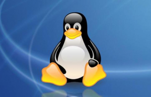 Linux中如何快速查找文件