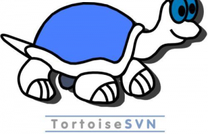 Linux系统安装SVN服务具体步骤