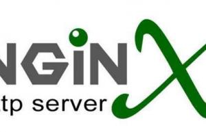 Linux系统安装Nginx具体步骤