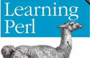 Linux系统安装perl具体步骤