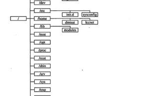 Linux系统目录结构