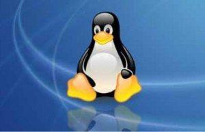 Linux系统添加环境变量