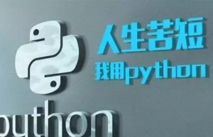 Linux系统更新python版本