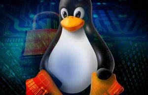Linux系统如何修改系统编码