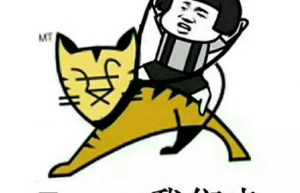 Linux系统下安装jdk1.8（rpm包）和tomcat-8.5